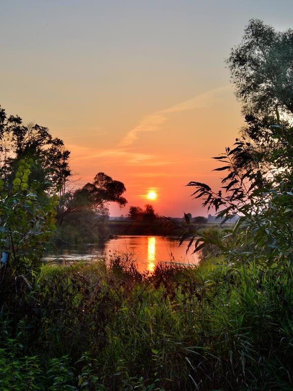 Dwor Osmolice Bed & Breakfast Bialki Dolne Dış mekan fotoğraf