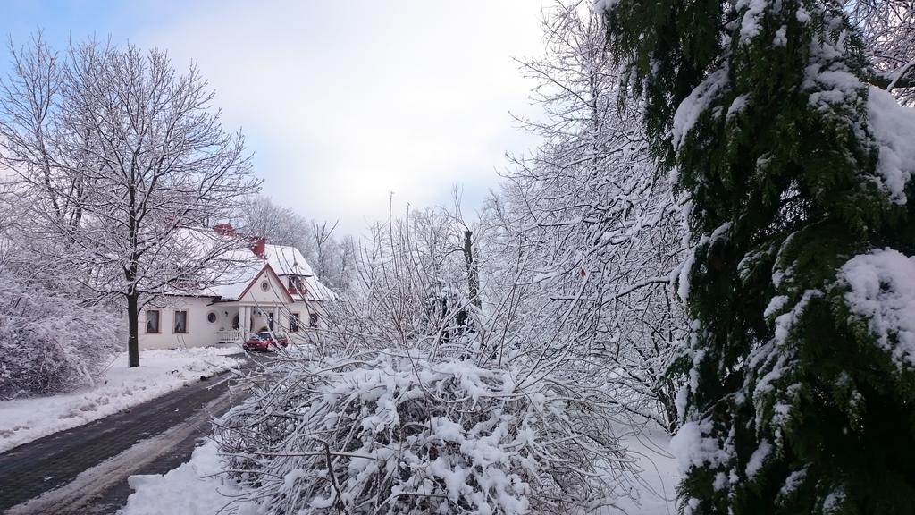 Dwor Osmolice Bed & Breakfast Bialki Dolne Dış mekan fotoğraf