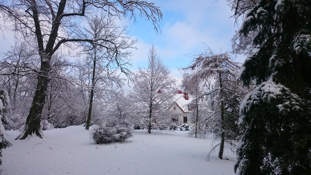 Dwor Osmolice Bed & Breakfast Bialki Dolne Dış mekan fotoğraf