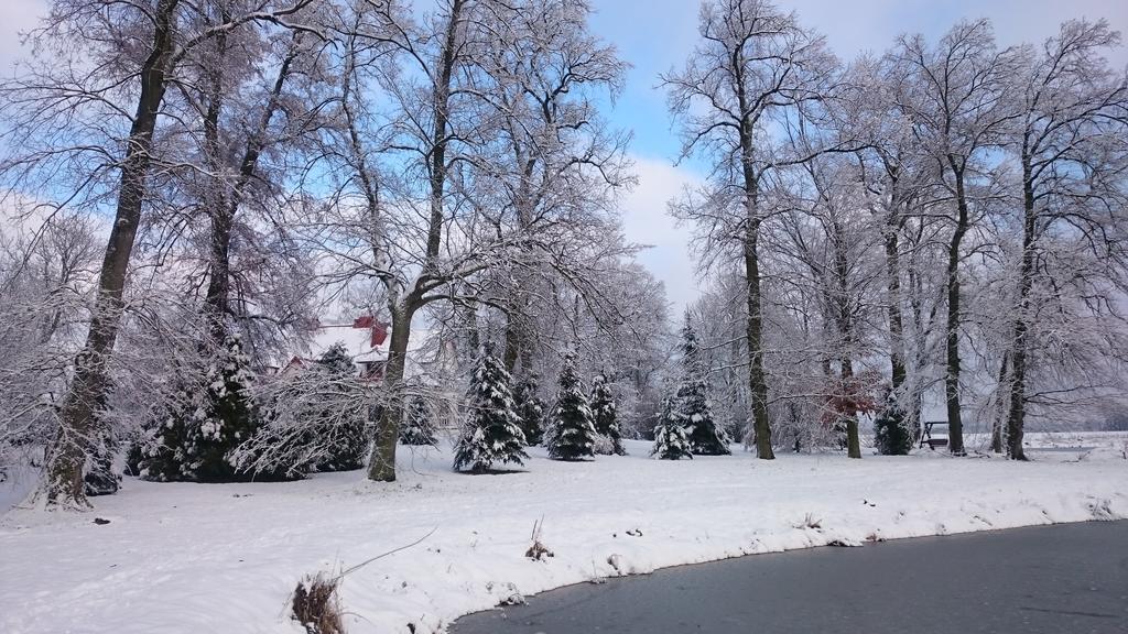 Dwor Osmolice Bed & Breakfast Bialki Dolne Dış mekan fotoğraf